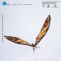 ����HIYA EBG0160 �ޱ��� 36CM����˹����ս���:�۹����𡷳��ɶ�Ħ˹�� ������װ