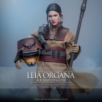 Hot Toys MMS854 1/6ս6:ع.¼(ʲ)