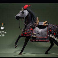 Mr.Z X DING TOYS DT004 1/6���� ������-������ ���� ����/��װ/ս��/����