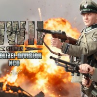 DID D80192 1/6���� ��ս�¹�SS Polizei-Division ָ�ӹ�-�����