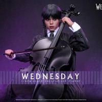 Hot Toys TMS135 1/6 ż