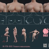 I8TOYS I8-FB-003 1/6���� �ֹǼܲ���轺ȫ�����ɶ�������"��CHARM" ����