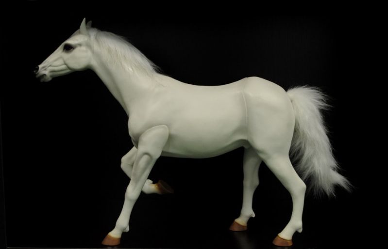 horse-4.jpg