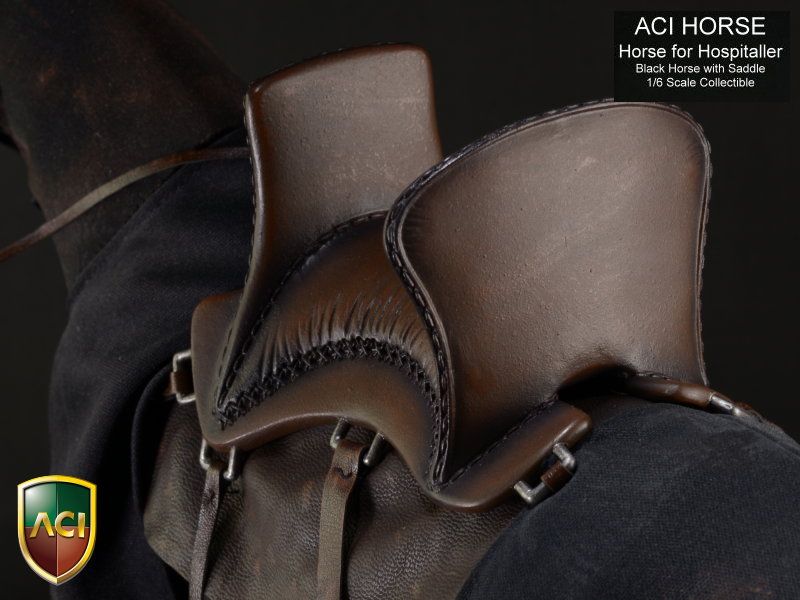 acih01-saddle-9.jpg