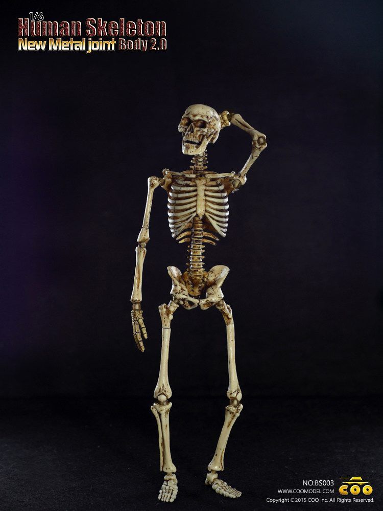 002.jpg 002.jpg