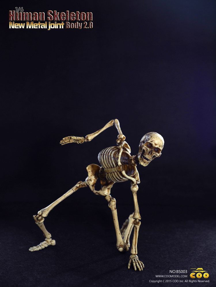 008.jpg 008.jpg