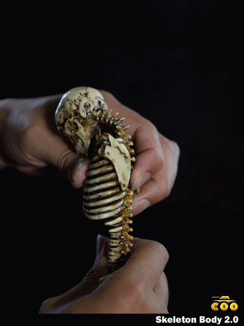 04.gif 04.gif