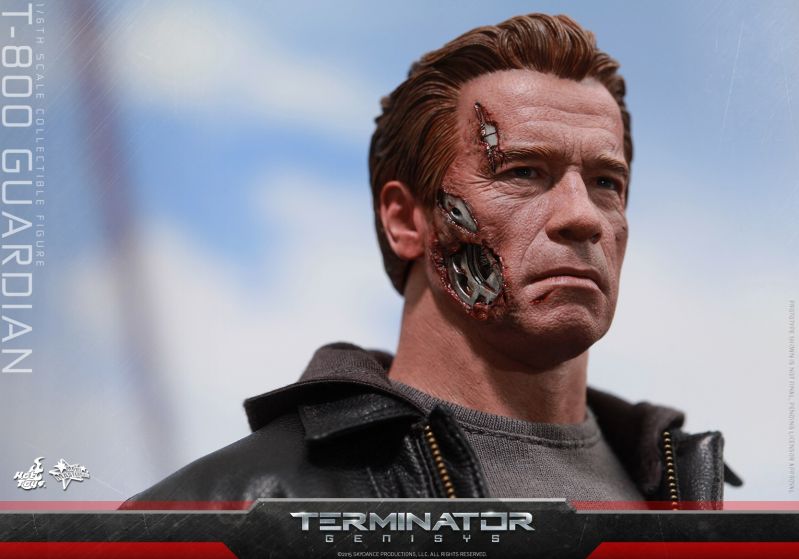 Hot Toys - Terminator Genisys - T-800 Guardian Collectible Figure_PR15.jpg