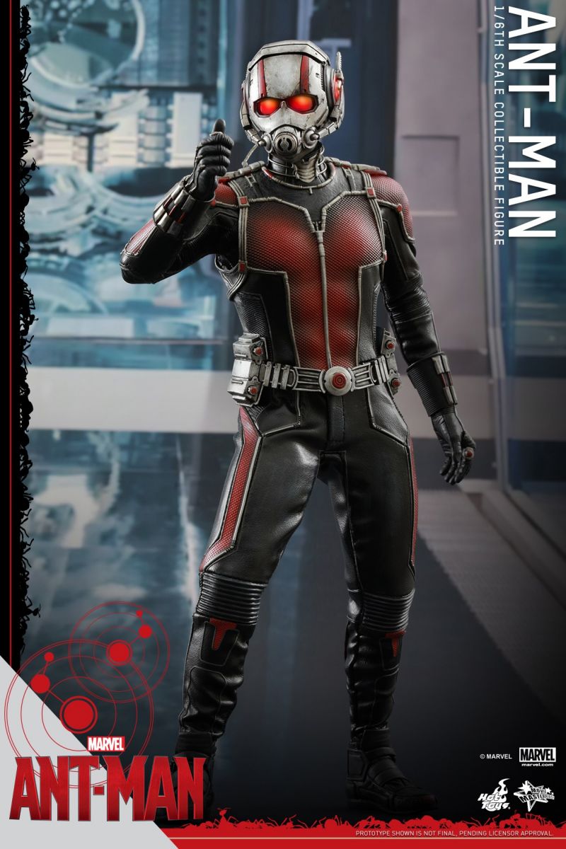 Hot Toys - Ant-Man - Ant-Man Collectible Figure_PR1.jpg
