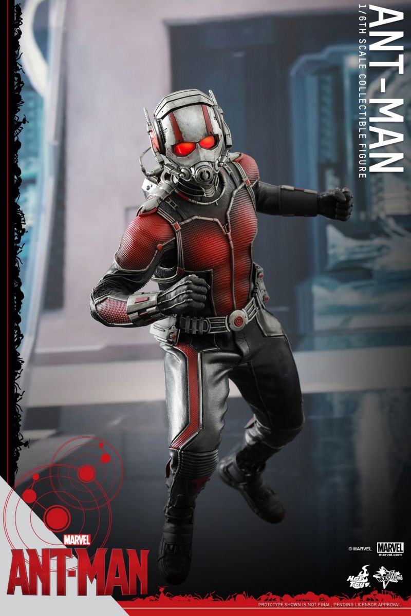 Hot Toys - Ant-Man - Ant-Man Collectible Figure_PR2.jpg