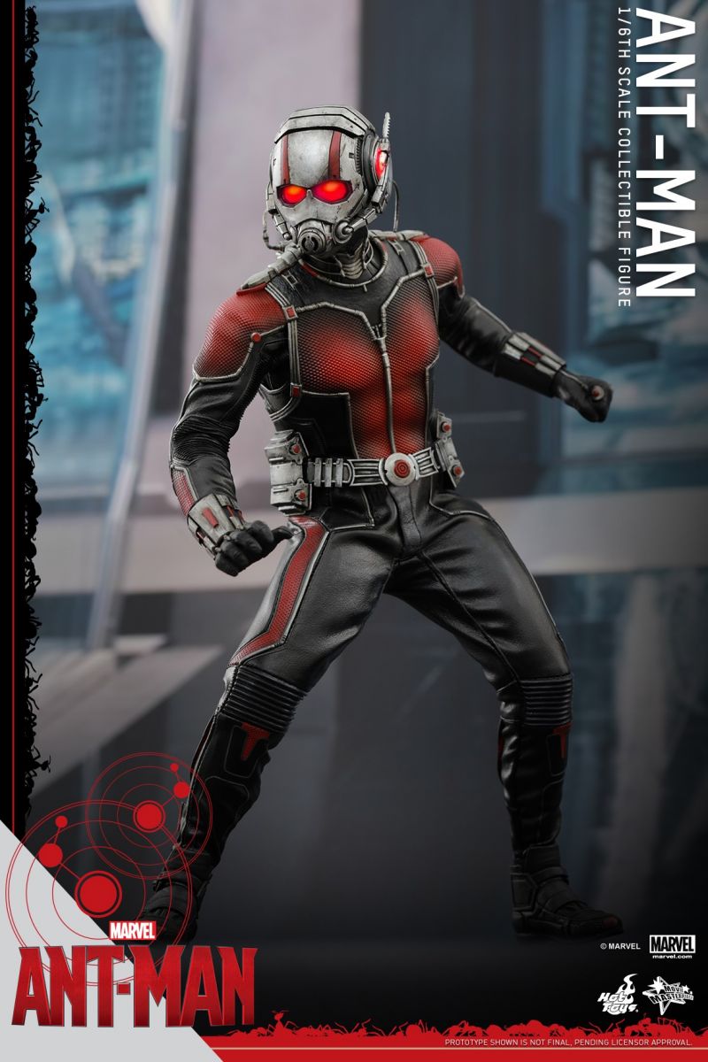 Hot Toys - Ant-Man - Ant-Man Collectible Figure_PR3.jpg