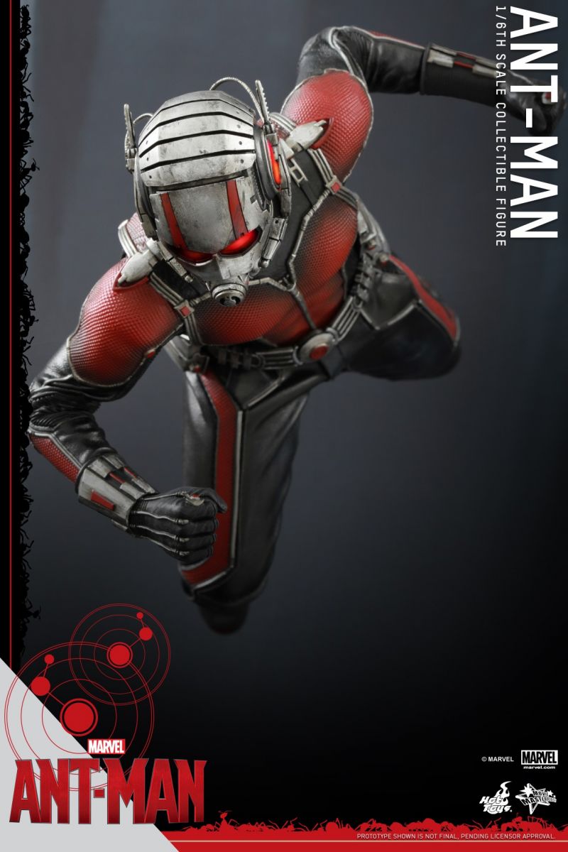 Hot Toys - Ant-Man - Ant-Man Collectible Figure_PR5.jpg