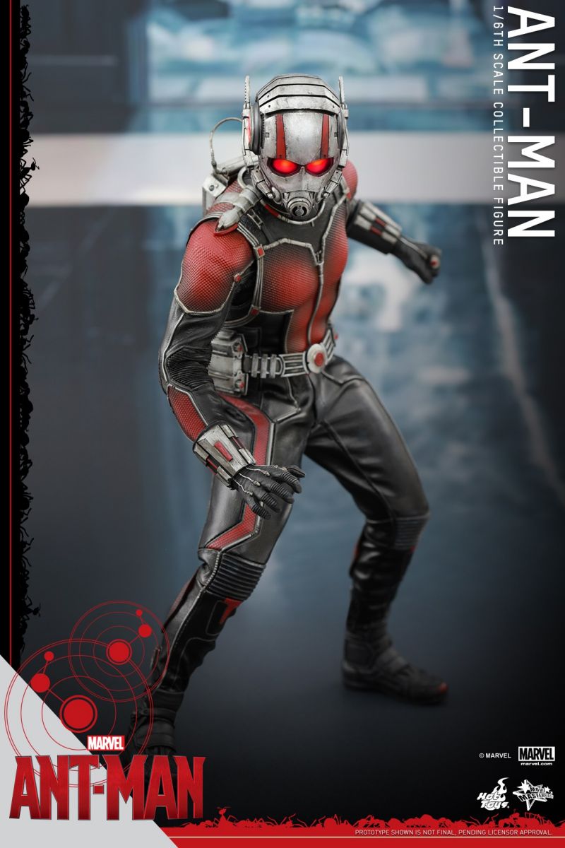 Hot Toys - Ant-Man - Ant-Man Collectible Figure_PR4.jpg