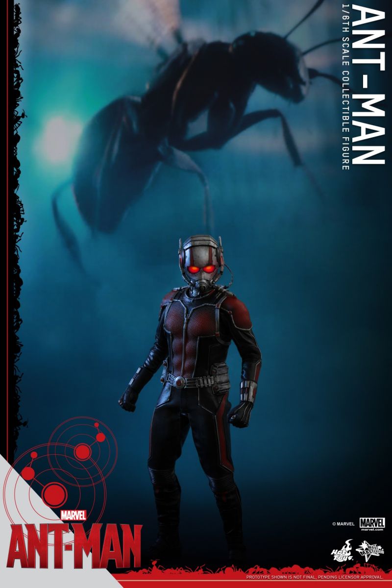 Hot Toys - Ant-Man - Ant-Man Collectible Figure_PR6.jpg