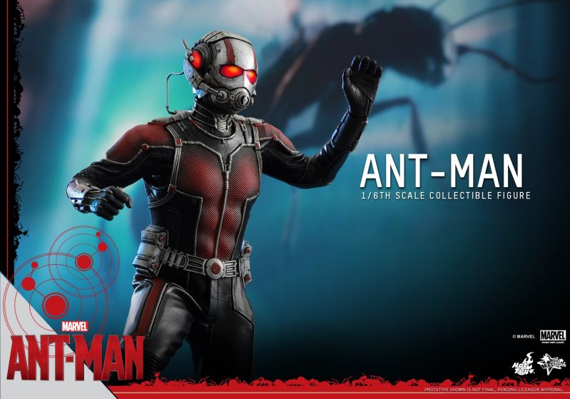 Hot Toys - Ant-Man - Ant-Man Collectible Figure_PR7.jpg