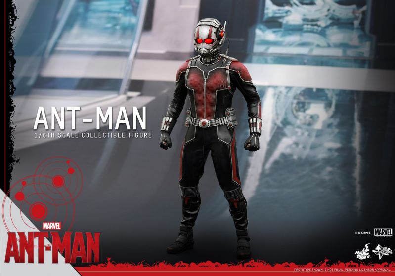 Hot Toys - Ant-Man - Ant-Man Collectible Figure_PR8.jpg