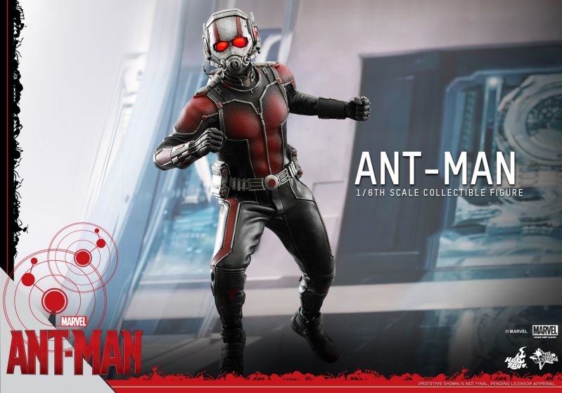 Hot Toys - Ant-Man - Ant-Man Collectible Figure_PR09.jpg