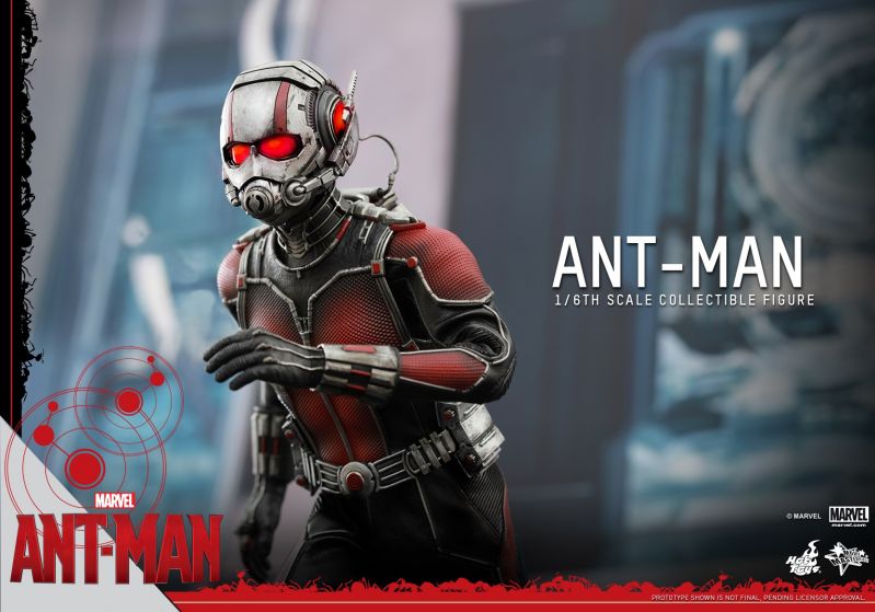 Hot Toys - Ant-Man - Ant-Man Collectible Figure_PR11.jpg