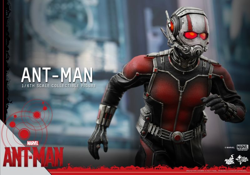Hot Toys - Ant-Man - Ant-Man Collectible Figure_PR12.jpg
