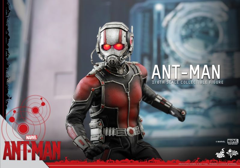 Hot Toys - Ant-Man - Ant-Man Collectible Figure_PR13.jpg