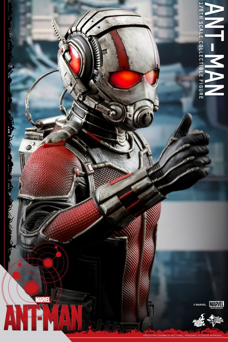 Hot Toys - Ant-Man - Ant-Man Collectible Figure_PR14.jpg