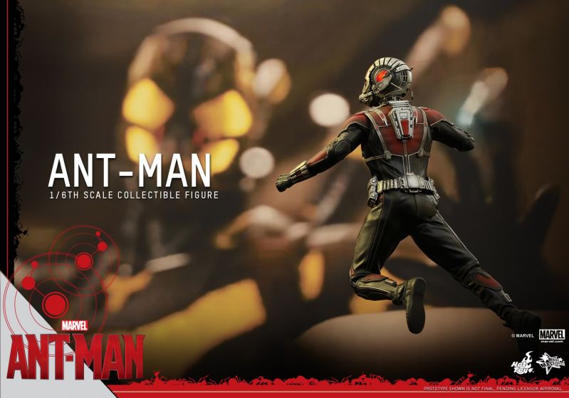 Hot Toys - Ant-Man - Ant-Man Collectible Figure_PR15.jpg