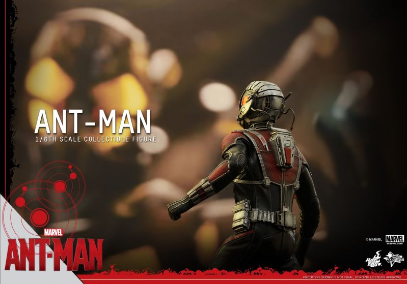Hot Toys - Ant-Man - Ant-Man Collectible Figure_PR16.jpg