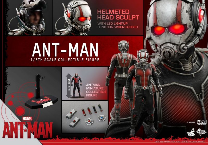 Hot Toys - Ant-Man - Ant-Man Collectible Figure_PR17.jpg