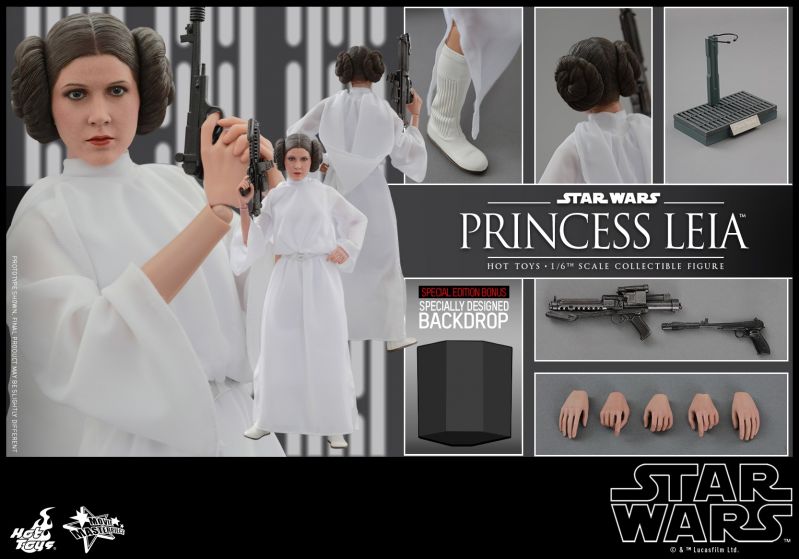 Hot Toys - Star Wars - Princess Leia Collectible Figure_PR13_(Special Version).jpg
