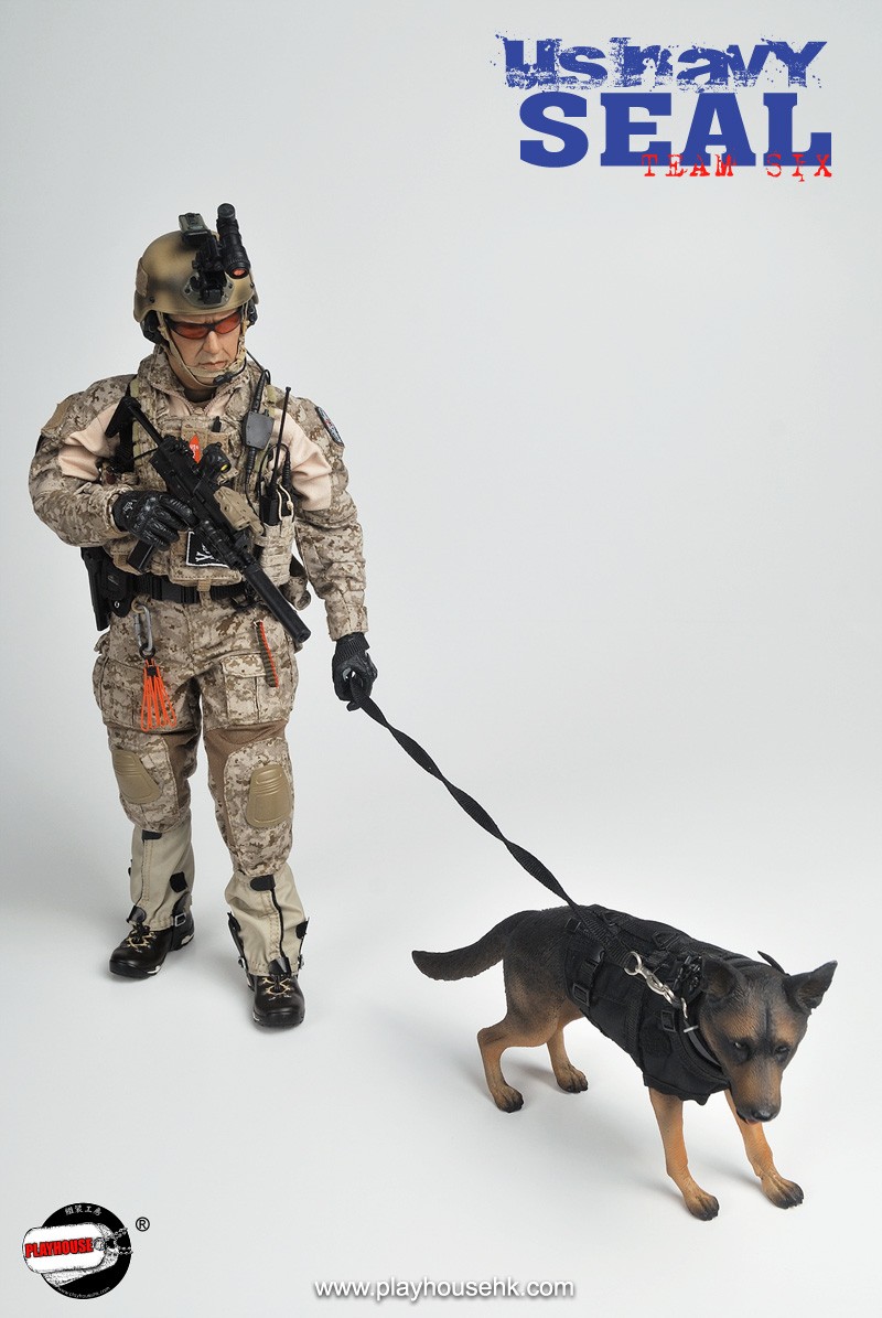 SEAL-01.jpg