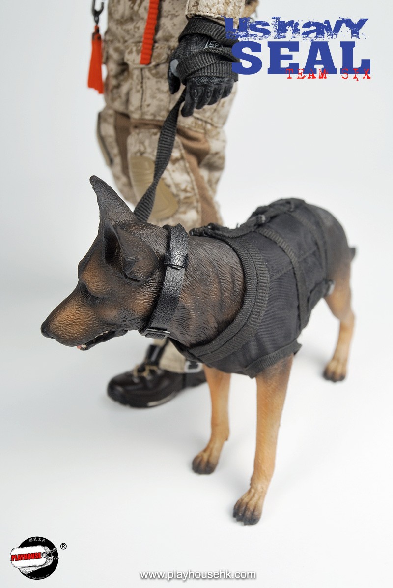 SEAL-22.jpg