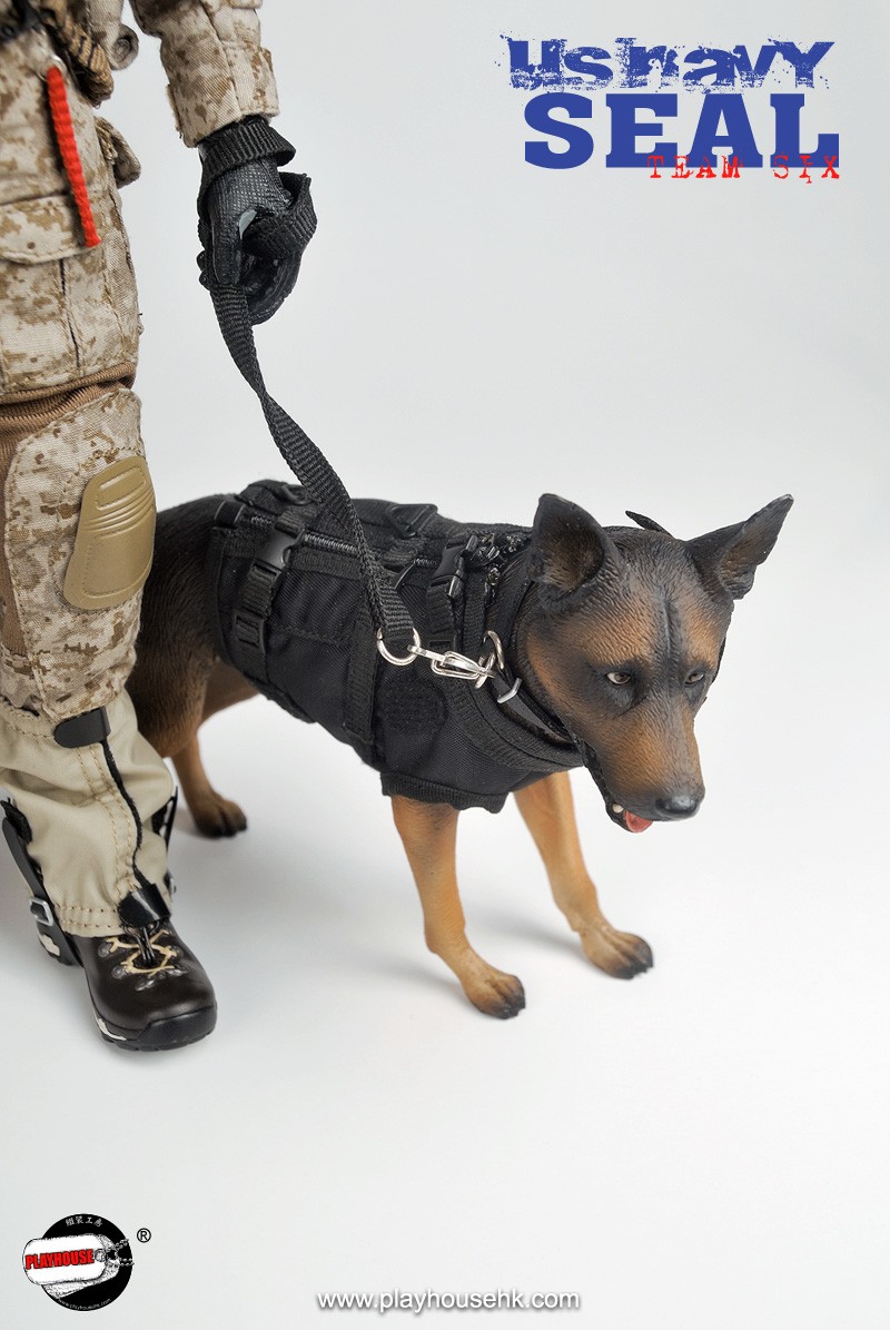 SEAL-24.jpg