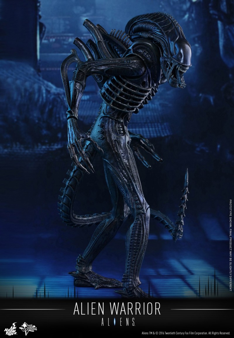 Hot Toys - Aliens - Alien Warrior Collectible Figure_PR01.jpg