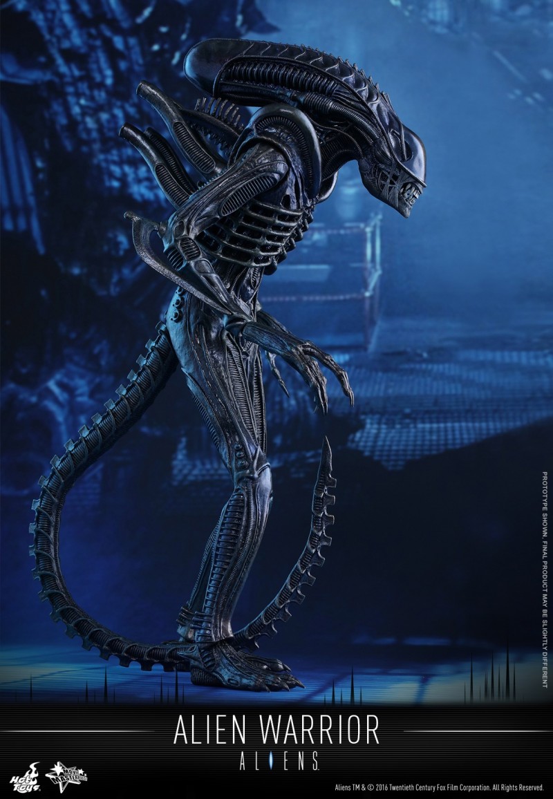Hot Toys - Aliens - Alien Warrior Collectible Figure_PR03.jpg