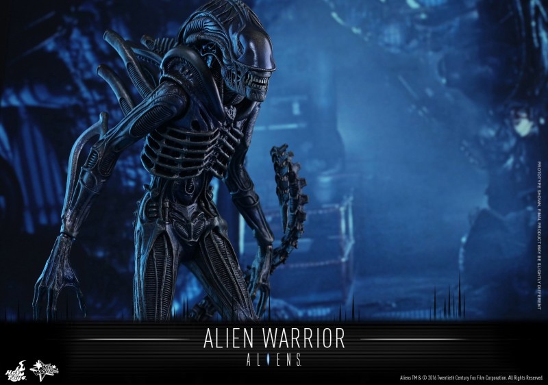 Hot Toys - Aliens - Alien Warrior Collectible Figure_PR05.jpg