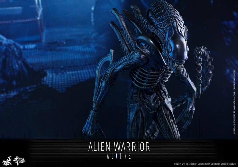 Hot Toys - Aliens - Alien Warrior Collectible Figure_PR06.jpg