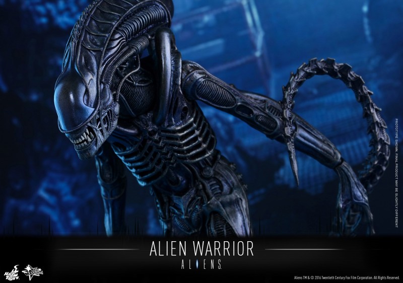 Hot Toys - Aliens - Alien Warrior Collectible Figure_PR10.jpg