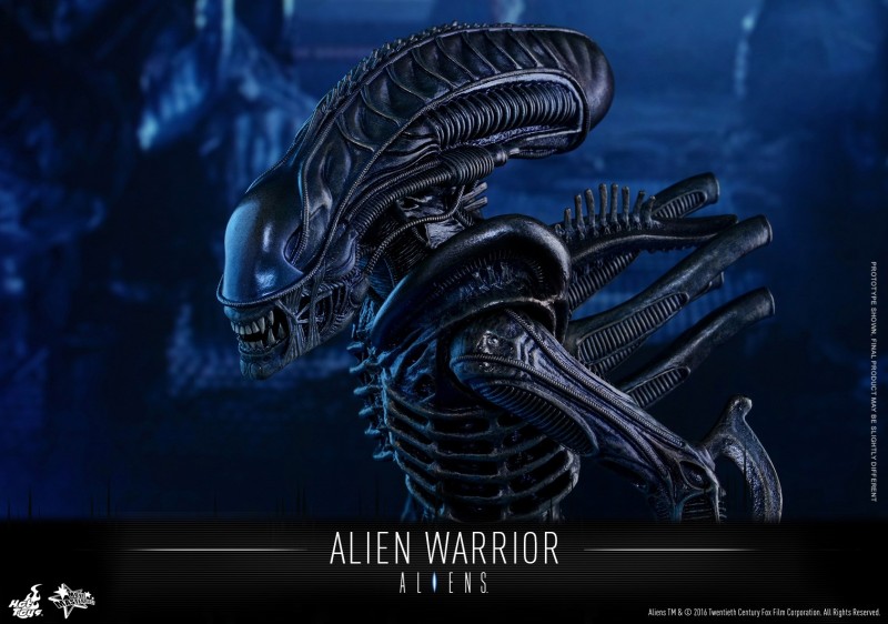 Hot Toys - Aliens - Alien Warrior Collectible Figure_PR13.jpg