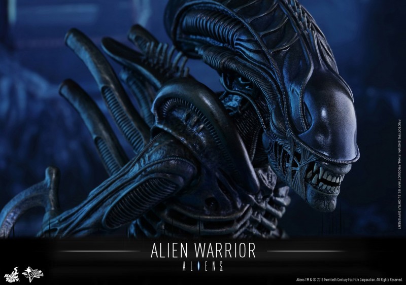 Hot Toys - Aliens - Alien Warrior Collectible Figure_PR14.jpg