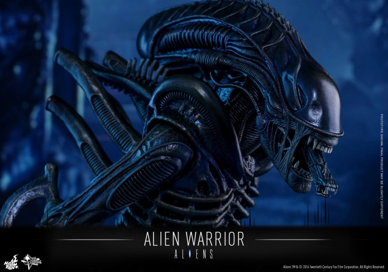 Hot Toys - Aliens - Alien Warrior Collectible Figure_PR15.jpg