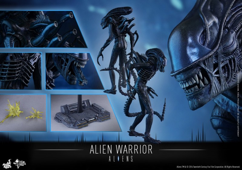 Hot Toys - Aliens - Alien Warrior Collectible Figure_PR17.jpg