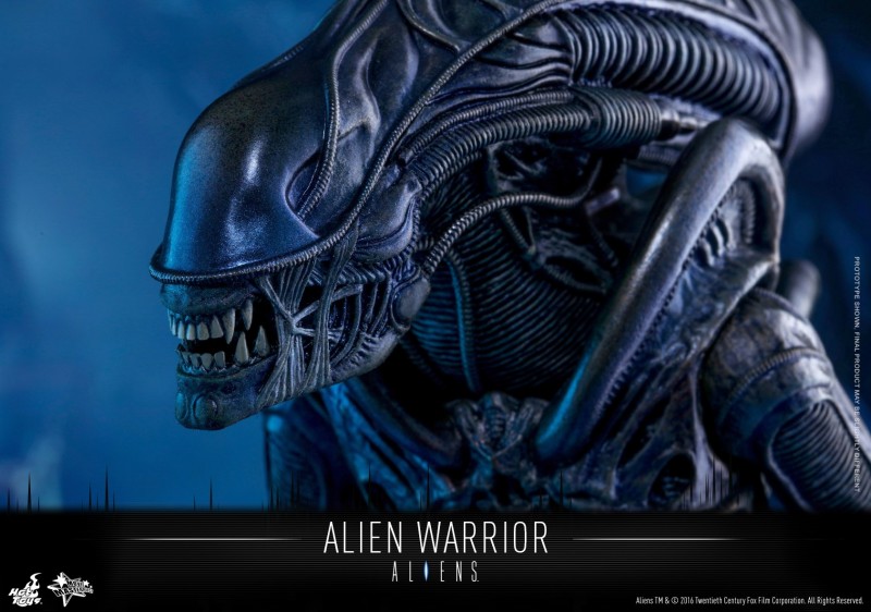 Hot Toys - Aliens - Alien Warrior Collectible Figure_PR16.jpg