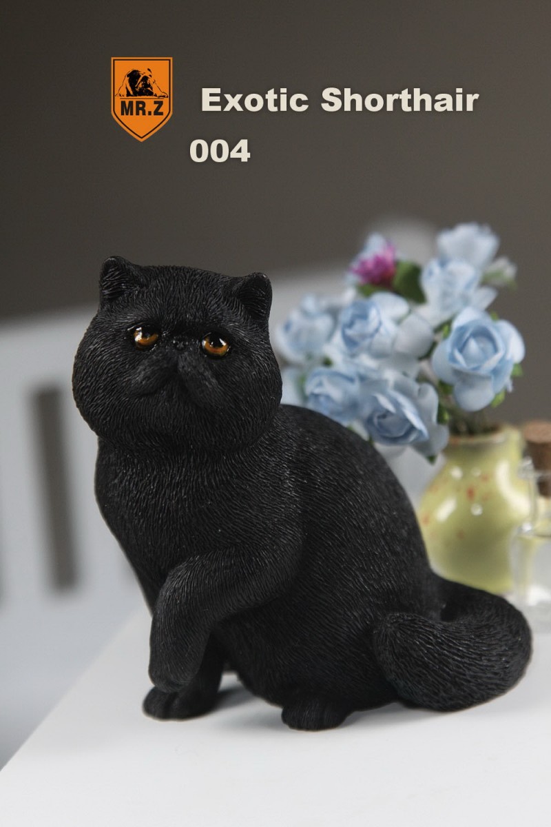 301.jpg