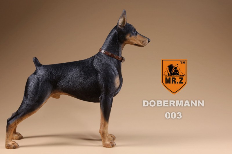 200125x1yba18nppjfuzpf.jpg