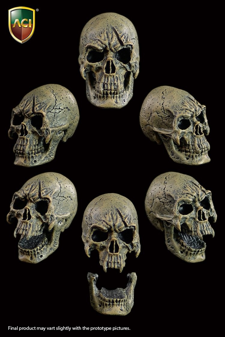 evil skull set head only.jpg