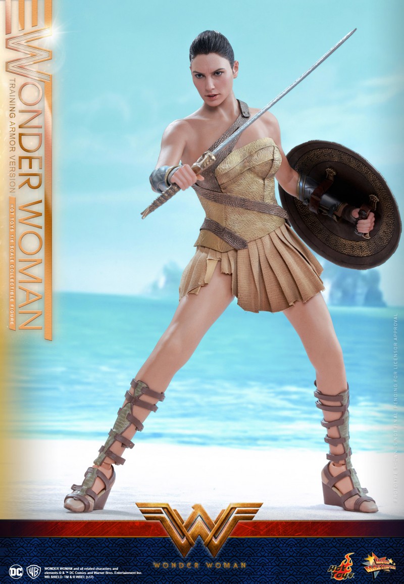 Hot-Toys---Wonder-Woman---Wonder-Woman-(Training-Armor-Version)-Collectible-Figu.jpg