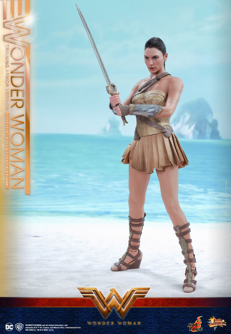 Hot-Toys---Wonder-Woman---Wonder-Woman-(Training-Armor-Version)-Collectible-Figu.jpg