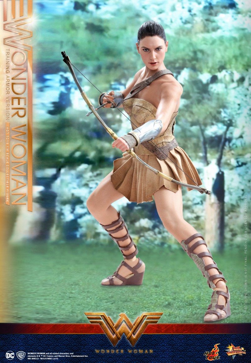 Hot-Toys---Wonder-Woman---Wonder-Woman-(Training-Armor-Version)-Collectible-Figu.jpg