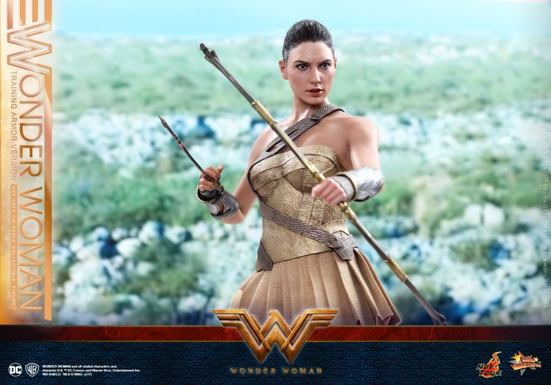 Hot-Toys---Wonder-Woman---Wonder-Woman-(Training-Armor-Version)-Collectible-Figu.jpg