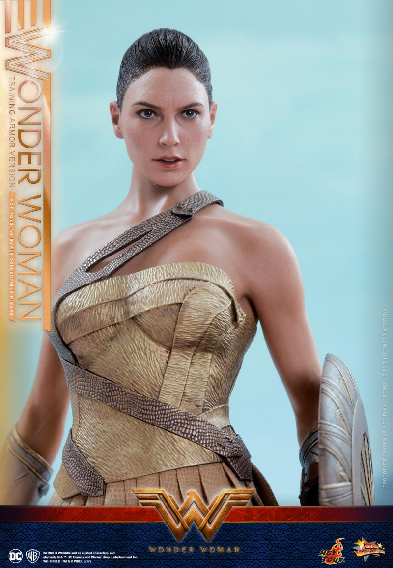 Hot-Toys---Wonder-Woman---Wonder-Woman-(Training-Armor-Version)-Collectible-Figu.jpg